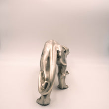 Carica l'immagine nel visualizzatore di Gallery, Pantera